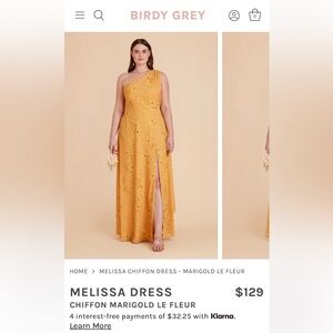 Birdy Grey Chiffon Melissa Dress